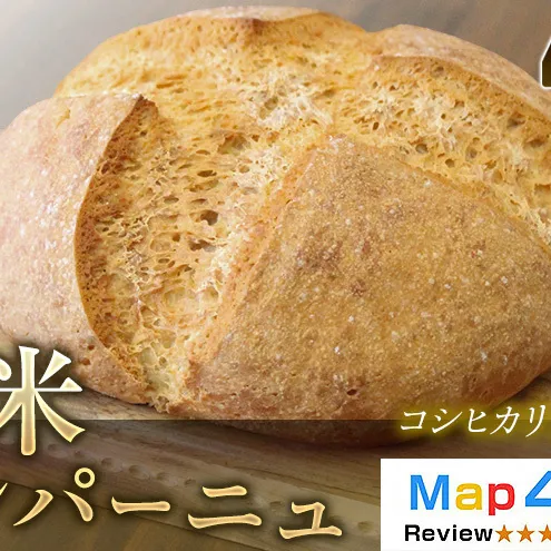 【定期便12ヶ月】【コシヒカリ玄米使用】生米仕込みで噛むほどに広がる旨み 京都産コシヒカリ 玄米カンパーニュ 1セット カンパーニュ パン 米粉パン グルテンフリー 玄米パン 冷凍パン 国産米 アレルギー対応