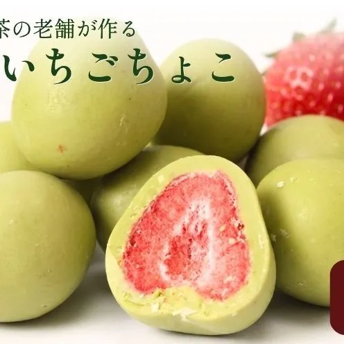 抹茶いちごちょこ 144g いちごスイーツ チョコレート お菓子 個包装 京都府 京田辺市