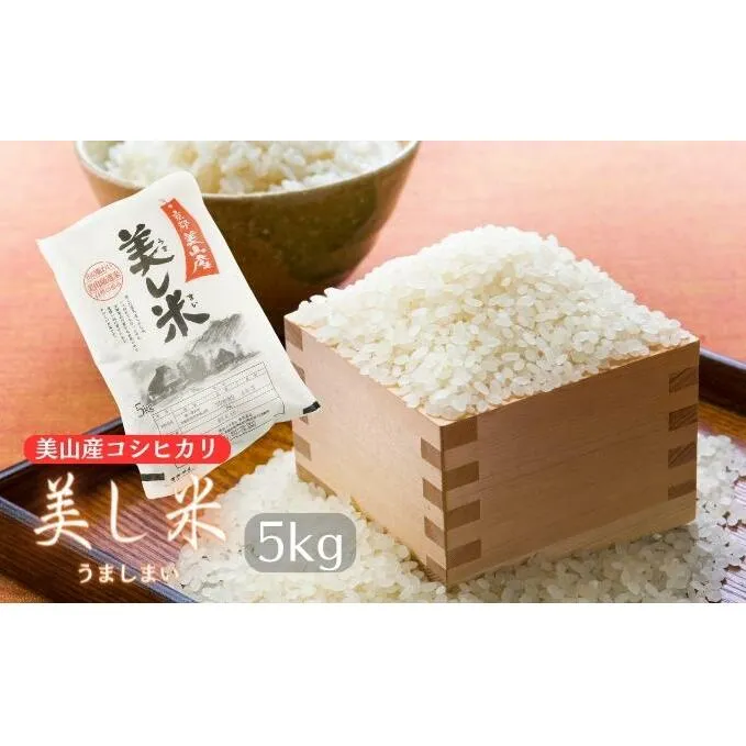 米 美し米 5kg 美山産 コシヒカリ 白米 精米 コメ こめ お米 こしひかり 5 キロ ご飯 ごはん 京都