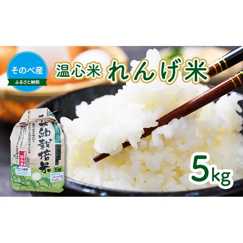 米 コシヒカリ れんげ米 5kg ×1袋 そのべ産 温心米 2024年度産 お米 単一原料米 こしひかり 丹波 精米 白米 こめ コメ 京都 