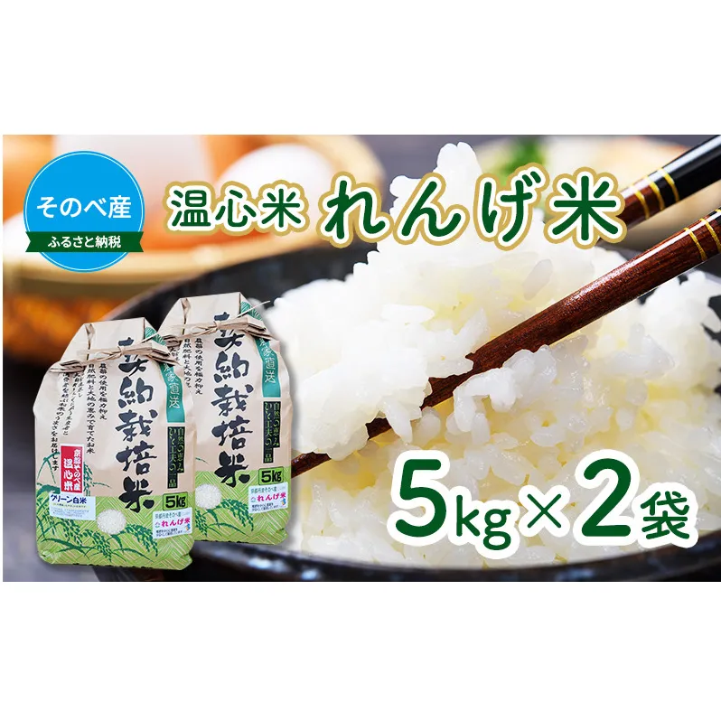 米 コシヒカリ れんげ米 5kg ×2袋 そのべ産 温心米 2024年度産 お米 単一原料米 こしひかり 丹波 精米 白米 こめ コメ 京都 