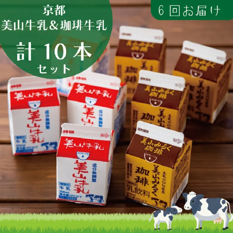 牛乳 定期便 6ヶ月 京都 美山牛乳 200ml ×5本 珈琲牛乳 ×5本 詰め合わせ セット 美山町 お取り寄せ コーヒー牛乳 パック 紙パック 200mL 定期 お楽しみ 6回 ※北海道・沖縄・離島への発送不可 