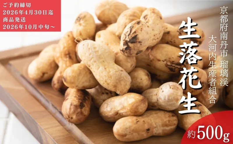 落花生 京都 2026年 先行予約 生落花生 るり渓 大河内生産組合発 丹波 野菜 国産 ピーナッツ おつまみ 先行 ※北海道・沖縄・離島への発送不可 