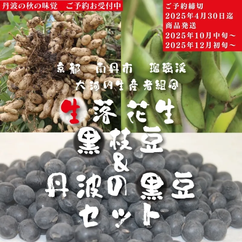 枝豆 定期便 2ヶ月 京都 2025年 先行予約 黒枝豆バラ 落花生 黒豆 るり渓 大河内生産組合発 丹波 先行 定期 お楽しみ 2回 ※北海道・沖縄・離島への発送不可 