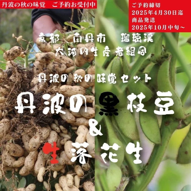枝豆 京都 2025年 先行予約 黒枝豆 生落花生 るり渓 大河内生産組合発 丹波 野菜 国産 生 落花生 おつまみ えだまめ エダマメ 先行 ※北海道・沖縄・離島への発送不可 
