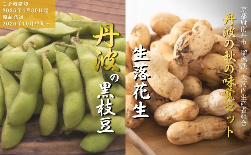 枝豆 京都 2026年 先行予約 黒枝豆 生落花生 るり渓 大河内生産組合発 丹波 野菜 国産 生 落花生 おつまみ えだまめ エダマメ 先行 ※北海道・沖縄・離島への発送不可 