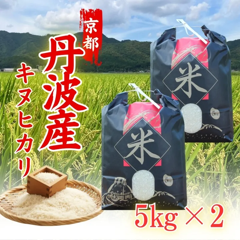新米 令和6年産 キヌヒカリ 10kg (5kg×2袋) 米 白米 精米 お米 こめ コメ きぬひかり 令和6年 ご飯 ごはん 京都 京都府 南丹市