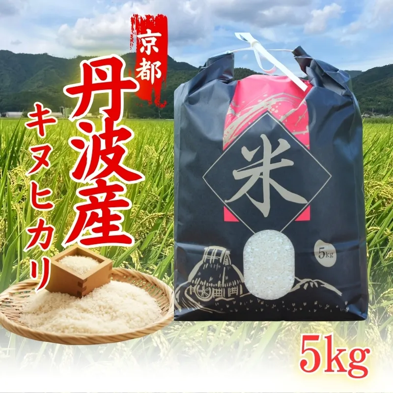 新米 令和6年産 キヌヒカリ 5kg 米 白米 精米 お米 こめ コメ きぬひかり 令和6年 ご飯 ごはん 京都 京都府 南丹市