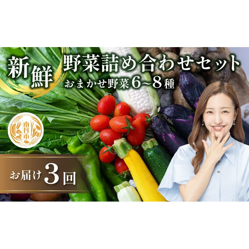 【定期便3回】新鮮 野菜 詰め合わせ セット