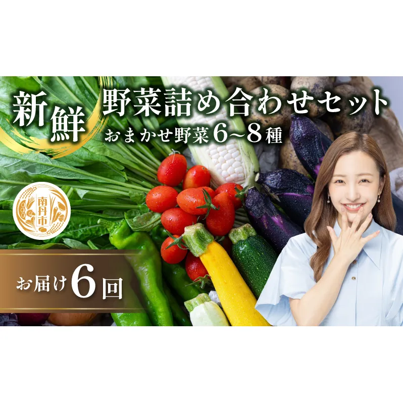 【定期便6回】新鮮 野菜 詰め合わせ セット
