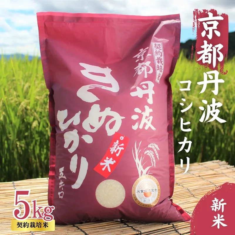 令和6年産 新米 京都丹波産 きぬひかり 5kg　契約栽培米