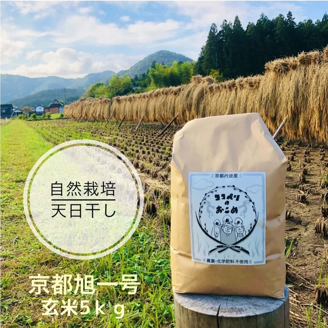 こだわりすぎたお米！自然栽培・天日干しの京都旭一号 玄米5kg 栽培期間中農薬不使用米 無肥料米 栽培期間中化学使用不使用 希少品種 京都丹波地域 南丹市産 うるち米 玄米 米 お米