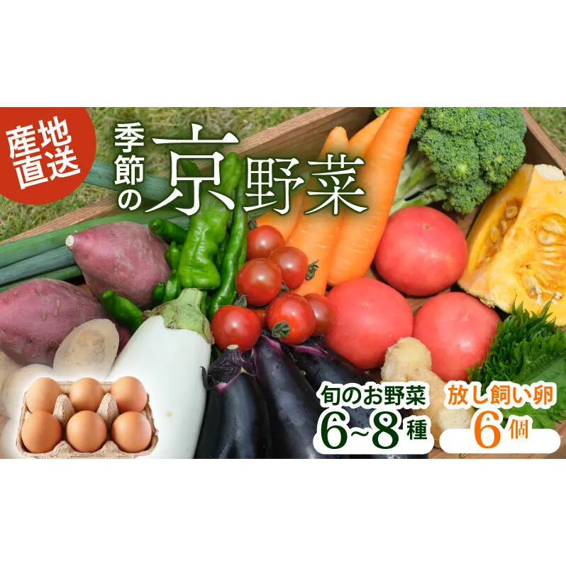 野菜セット＋平飼い卵6個