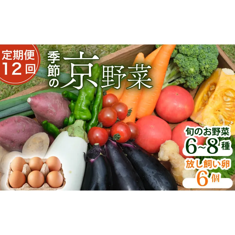 【定期便12回】野菜セット 平飼い卵 6個入り
