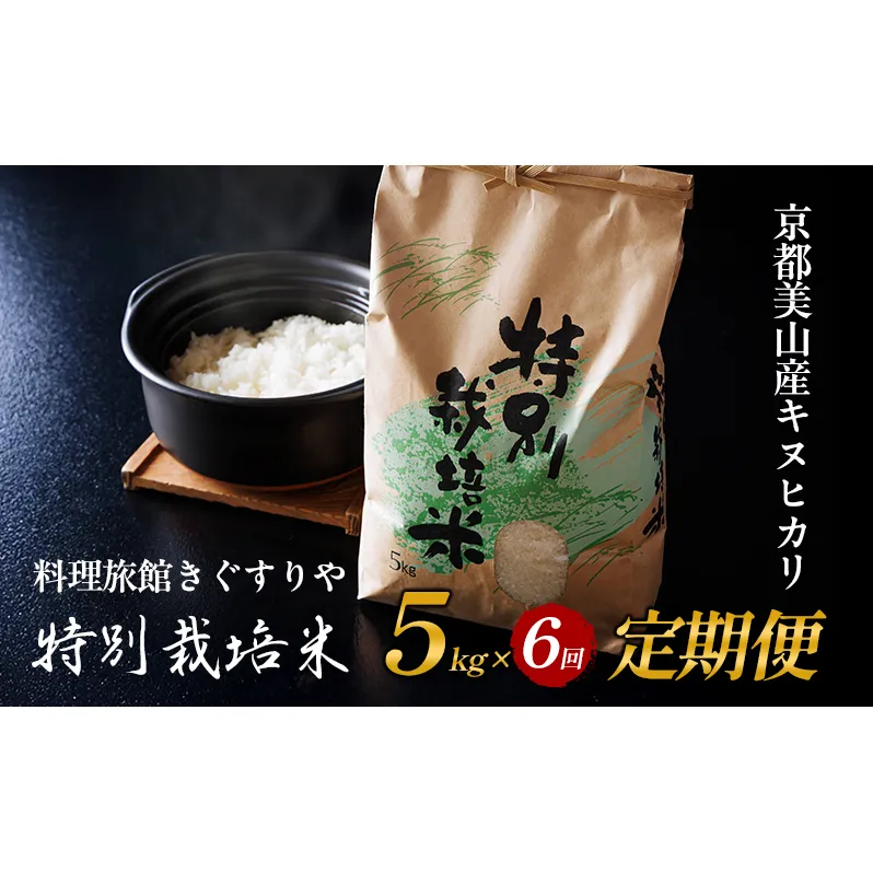 【先行予約】定期便 6回　料理旅館きぐすりや　令和7年産 　特別栽培米キヌヒカリ 5kg