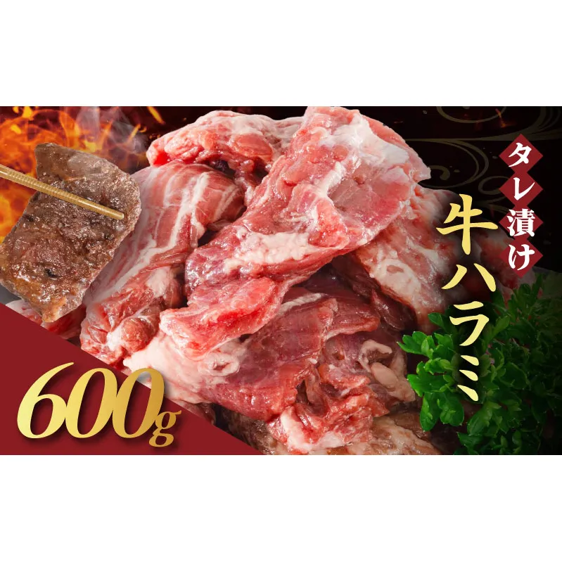 【訳あり】 タレ漬け 牛ハラミ 600g 2P 肉 牛 牛肉 ハラミ 味付け タレ ハラミ肉 BBQ バーベキュー 焼き肉 焼肉 焼肉セット アウトドア キャンプ ギフト 真空 パック 小分け 300g 個包装 簡単 便利 冷凍 人気 京都 南丹市 神戸 ミートフーズ