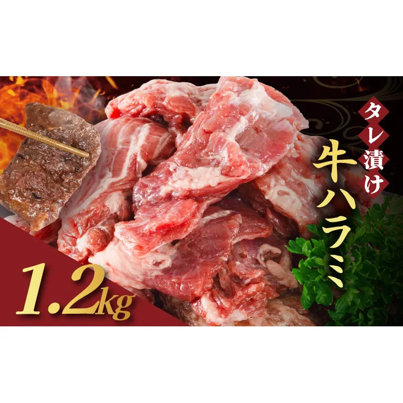 【訳あり】 タレ漬け 牛ハラミ 1.2kg 4P 肉 牛 牛肉 ハラミ 味付け タレ ハラミ肉 BBQ バーベキュー 焼き肉 焼肉 焼肉セット アウトドア キャンプ ギフト 真空 パック 小分け 300g 個包装 簡単 便利 冷凍 人気 京都 南丹市 神戸 ミートフーズ
