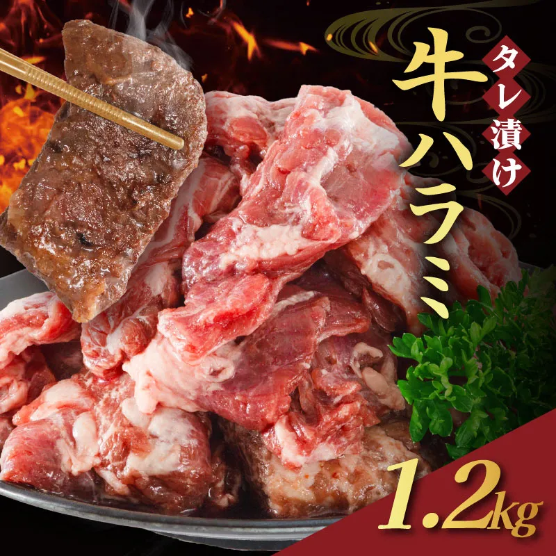 【訳あり】 タレ漬け 牛ハラミ 1.2kg 4P 肉 牛 牛肉 ハラミ 味付け タレ ハラミ肉 BBQ バーベキュー 焼き肉 焼肉 焼肉セット アウトドア キャンプ ギフト 真空 パック 小分け 300g 個包装 簡単 便利 冷凍 人気 京都 南丹市 神戸 ミートフーズ