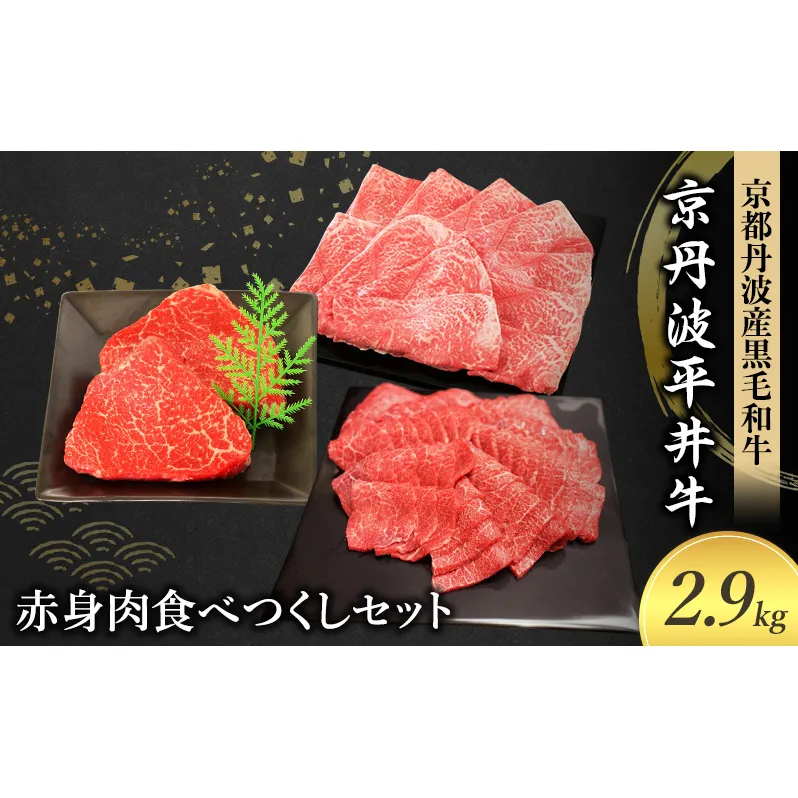 国産黒毛和牛 赤身肉食べつくしセット 2.9kg 京丹波平井牛 京都丹波産