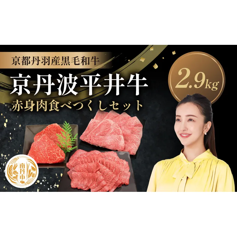 国産黒毛和牛 赤身肉食べつくしセット 2.9kg 京丹波平井牛 京都丹波産