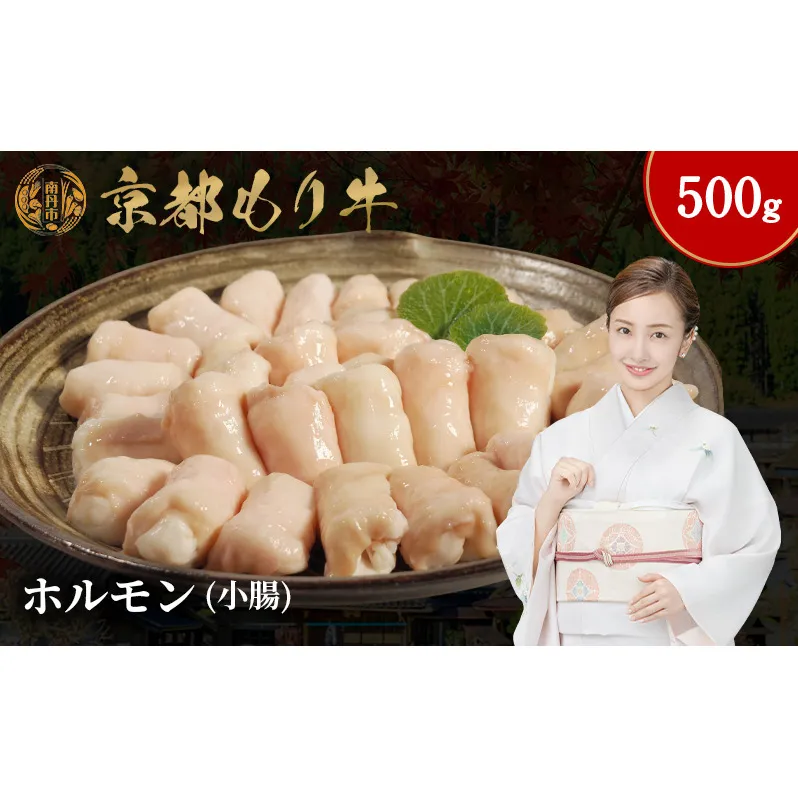 京都もり牛 ホルモン 500g 小腸