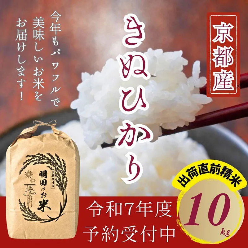 令和7年産新米 キヌヒカリ 10kg (精米) 明田のお米