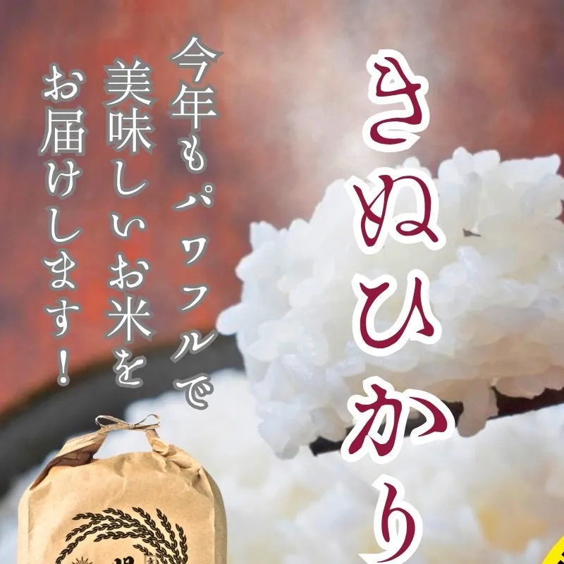 令和7年産新米 キヌヒカリ 10kg (精米) 明田のお米
