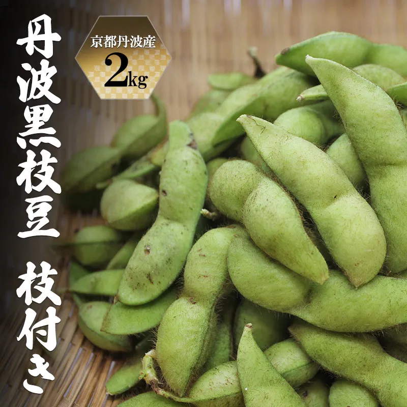 枝豆 令和8年10月発送分 先行予約 京都丹波産 丹波黒枝豆 枝付き 2kg 黒枝豆 秋26