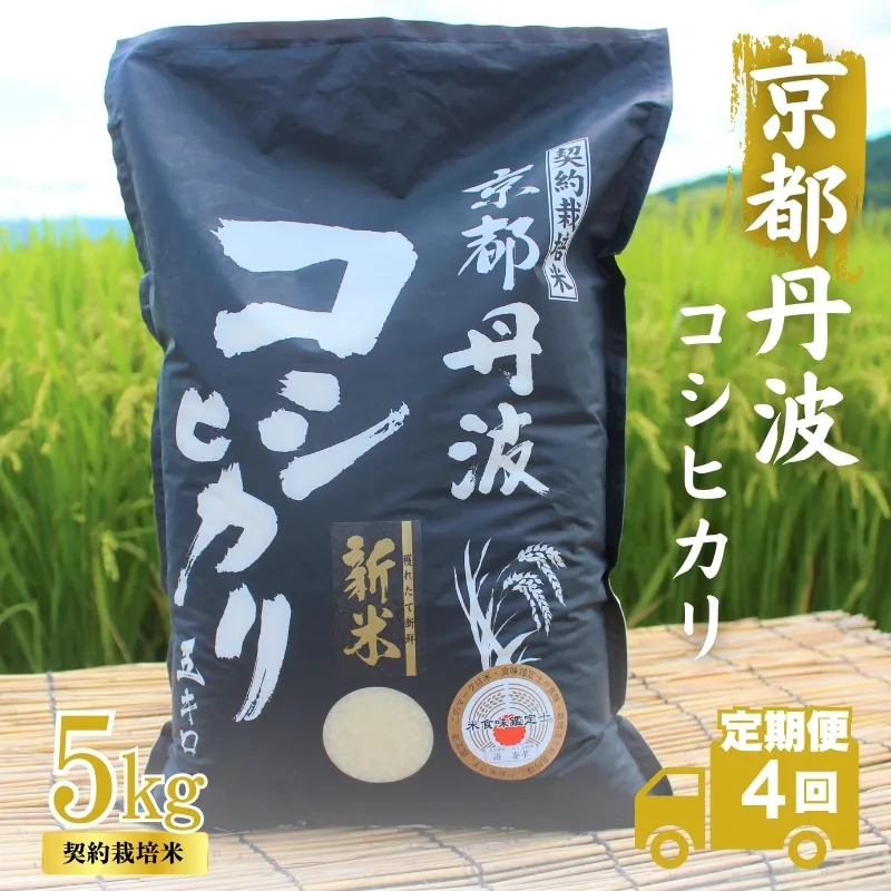 【4カ月定期便】令和7年産 新米 京都丹波産 こしひかり 5kg 合計20kg