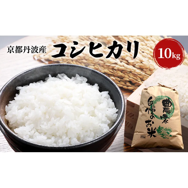 令和7年産 京都丹波産 コシヒカリ 10kg 米 こしひかり 精米 白米 