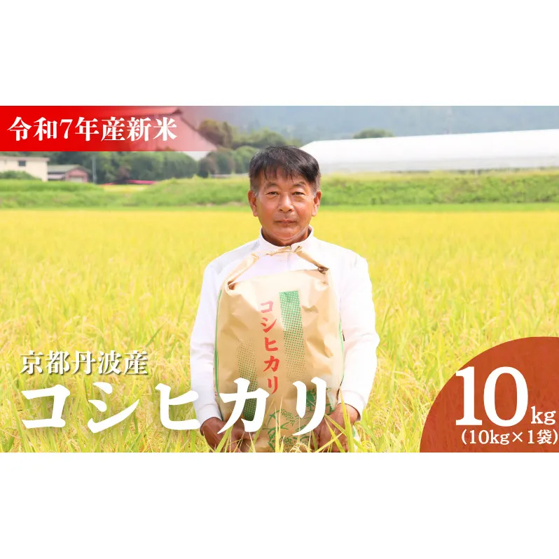 令和7年産 京都丹波産 コシヒカリ 10kg 米 こしひかり 精米 白米