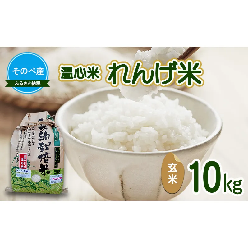 れんげ米10kg 玄米×1 令和7年度産　そのべ産 温心米 お米 単一原料米 こしひかり 丹波 精米 玄米 こめ コメ 京都