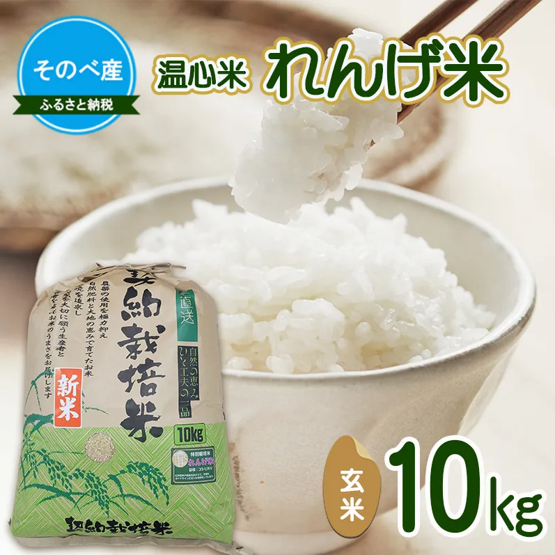 れんげ米10kg 玄米×1 令和7年度産 そのべ産 温心米 お米 単一原料米 こしひかり 丹波 精米 玄米 こめ コメ 京都