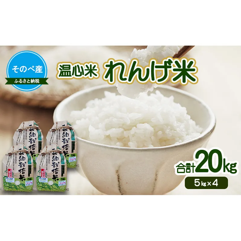れんげ米20kg(5kg×4) 令和7年度産　そのべ産 温心米 20kg　お米 単一原料米 こしひかり 丹波 精米 白米 こめ コメ 京都