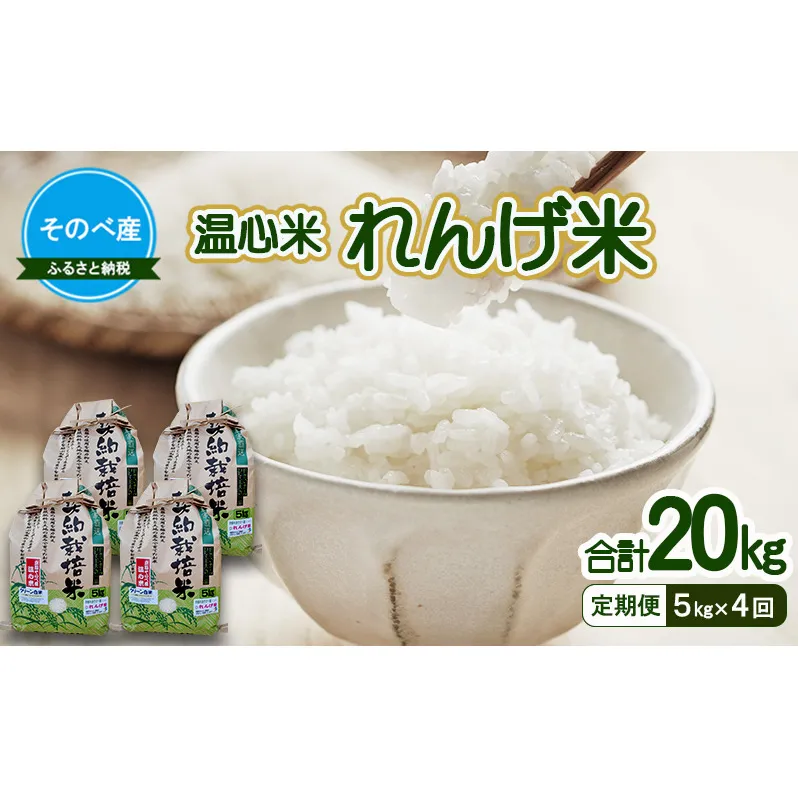 【定期便】れんげ米5kg×4回　合計20kg 令和7年度産　そのべ産 温心米 お米 単一原料米 こしひかり 丹波 精米 白米 こめ コメ 京都