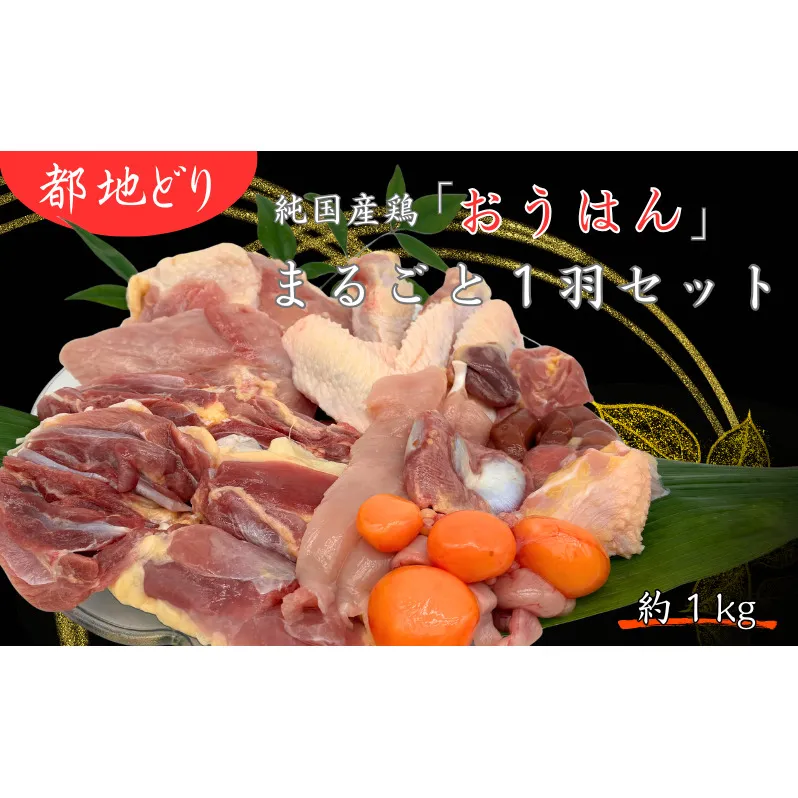 都地どり　「おうはん」　まるごと1羽セット　地鶏 鶏肉 むね ささみ 皮 モモ 手羽先 手羽中 ハツ 砂肝 レバー 玉ひも 京都府 南丹市