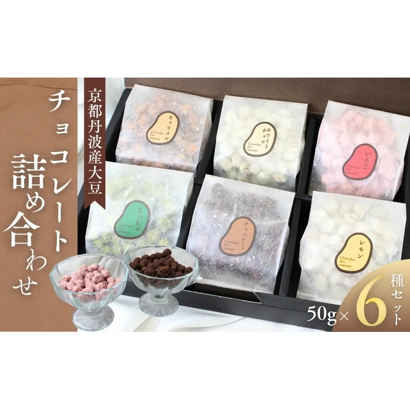 京都丹波産大豆 チョコレート 詰め合わせセット 50g×6種　チョコレート 丹波産 大豆 詰め合わせ セット 食べ比べ お菓子 スイーツ おやつ チョコレート菓子 贈り物 ギフト ご褒美 京都府 南丹市