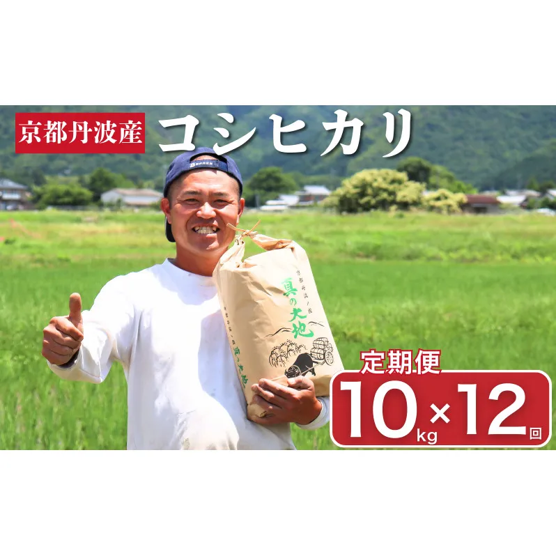 定期便 令和7年産 京都丹波産 コシヒカリ 10kg　12回