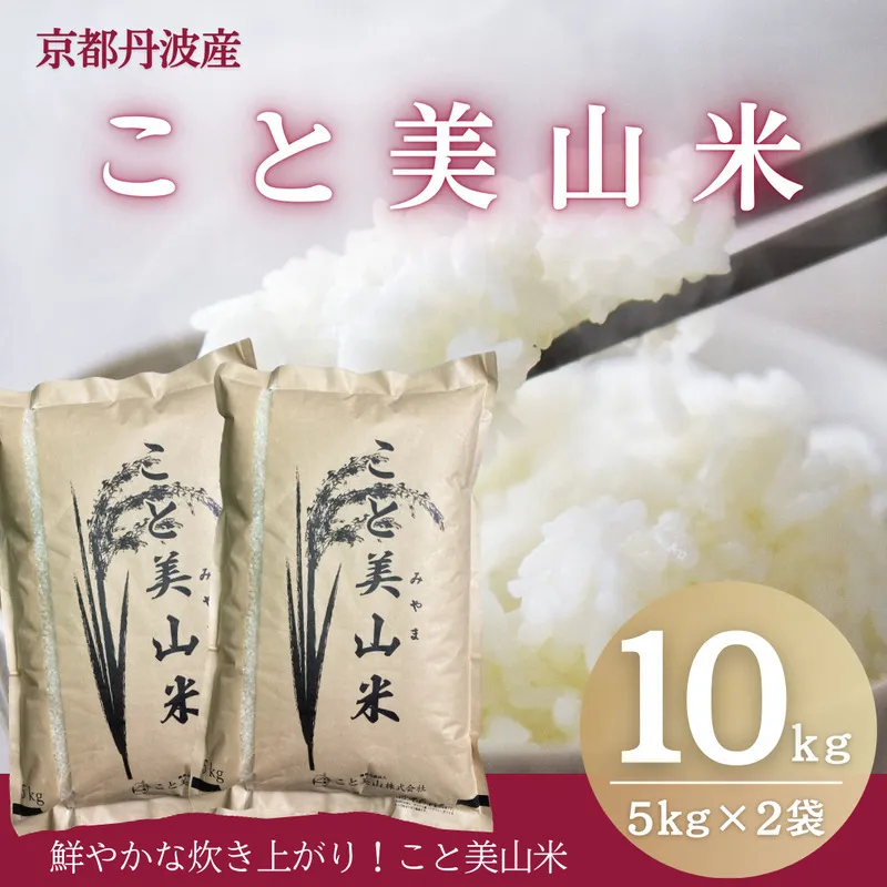 訳あり 令和7年産 こと美山米 10kg 精米 コシヒカリ にじのきらめき