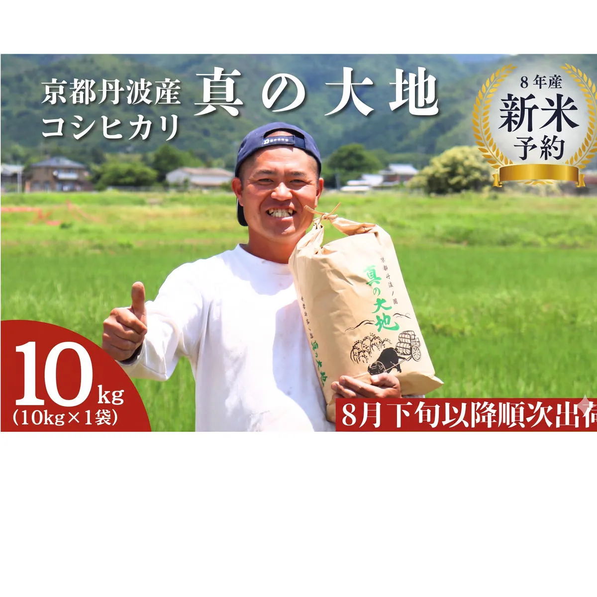 【令和8年産新米 予約】 京都丹波産 コシヒカリ 真の大地 10kg