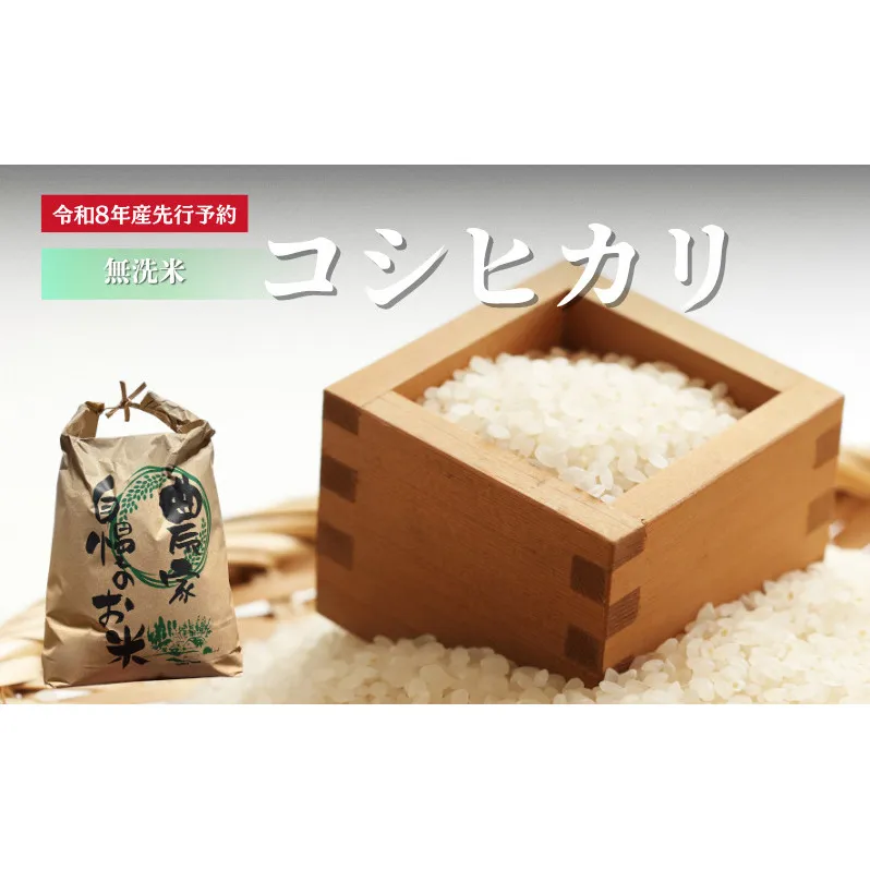 【先行予約】無洗米令和8年産 コシヒカリ 5kg 【 お米 米 コメ 精米 南丹市 】