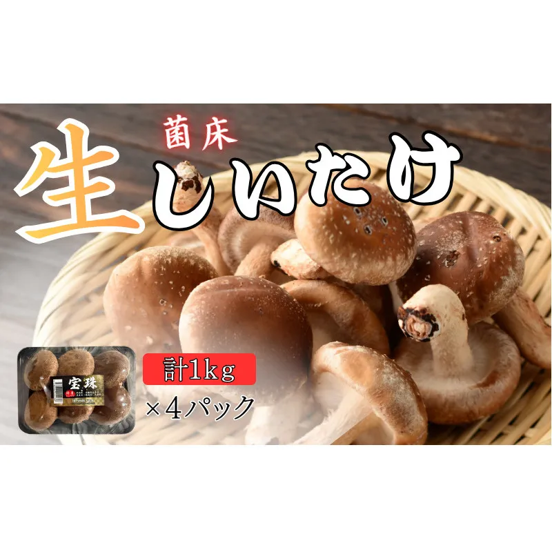 菌床生椎茸「宝珠」 生しいたけ きのこ 1kg 京都府 南丹市