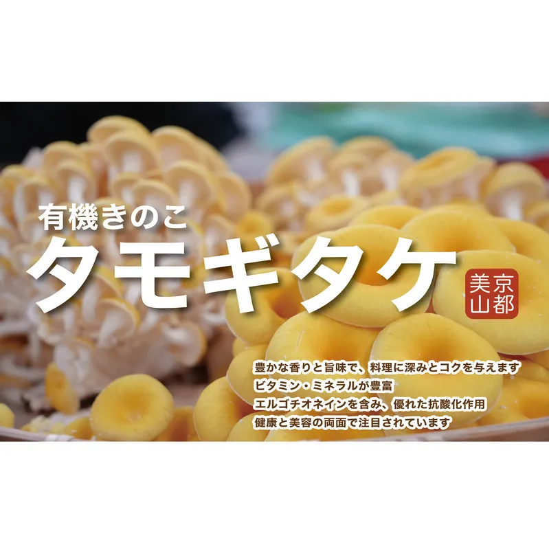 京都府産オーガニック　タモギタケ（6パック入り約720g）