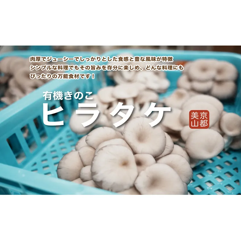 京都府産オーガニック　ヒラタケ（6パック入り約840g）