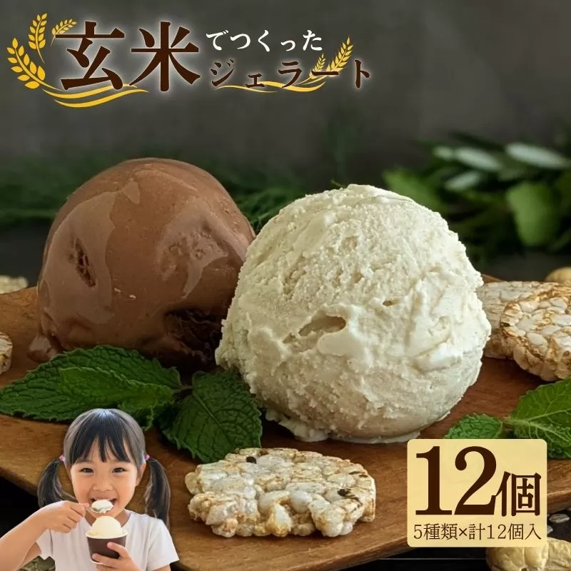 植物生まれの玄米ジェラート12個入り【175】