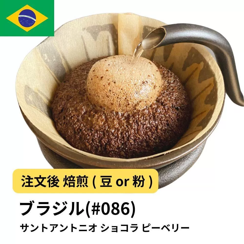 【粉】コーヒー #086 エスプレッソ ブラジル サントアントニオ ショコラ ピーベリー 310g 当日焙煎 大山珈琲
