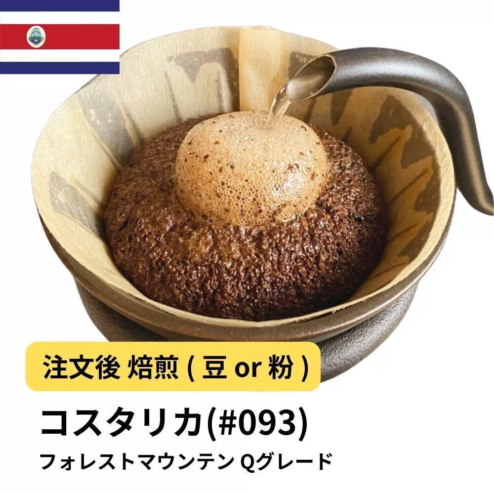 【粉】コーヒー #093 コスタリカ フォレストマウンテン Qグレード 310g 当日焙煎 大山珈琲