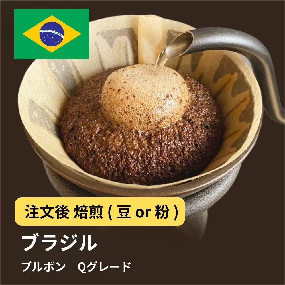 【粉】コーヒー #002 ブラジル ブルボン Qグレード コーヒー 310g 当日焙煎 大山珈琲