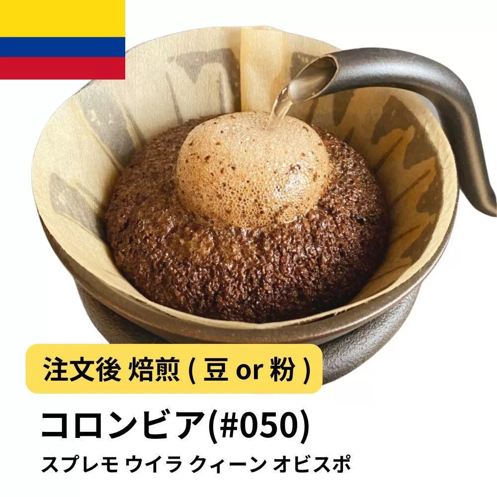 【粉】コーヒー #050 コロンビア スプレモ ウイラ クィーン オビスポ 310g 当日焙煎 大山珈琲