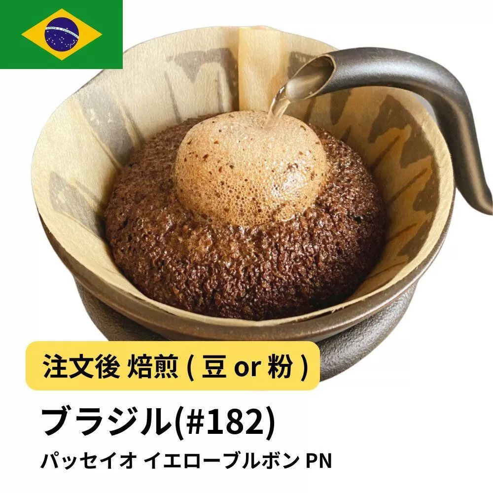 【豆】コーヒー #182 ブラジル パッセイオ イエローブルボン PN 310g 当日焙煎 大山珈琲